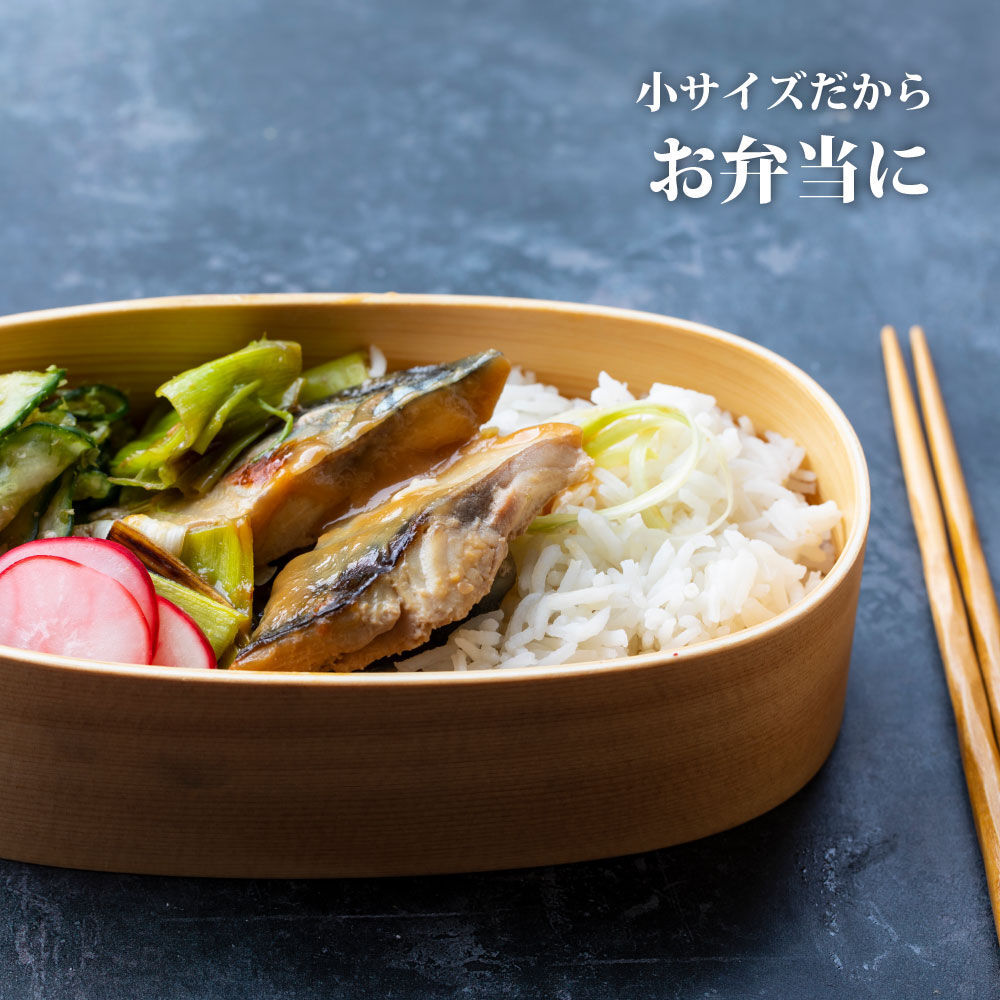 三陸常磐産 サバ 骨取切り身 30g×20枚入 鯖 冷凍 魚 おかず 魚のおんちゃま [鯖 さば 骨取 切り身 切身 センシン食品]