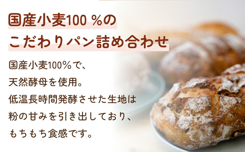 【定期便9ヶ月】名取 閖上のぱんやこてつ 手作り 国産小麦のハード系パンセット 8枚カットしてお届け