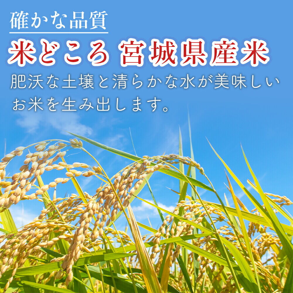【2026年10月以降順次発送 先行受付】【配れるギフト・小分け15袋】つや姫（30合）令和8年産 2合ずつの小分け真空パックで長期保存可能！ 美食農園ラ・ファータ自慢のお米