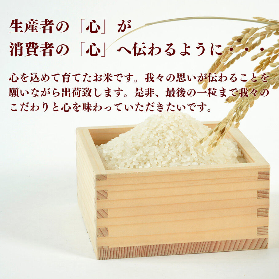 【2026年10月以降順次発送 先行受付】令和8年産 こだわりのお米 つや姫 2kg ＆ ササニシキ 2kg