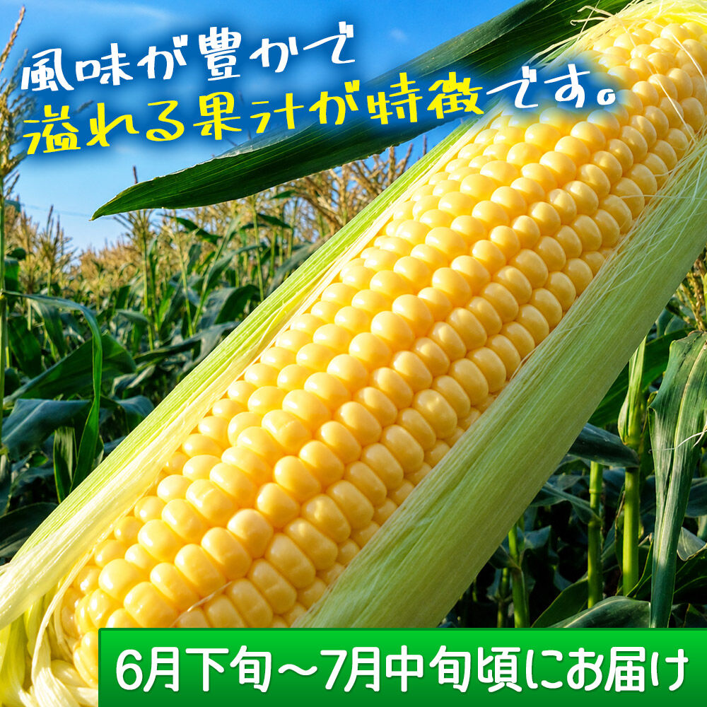 【期間限定】甘い果汁が弾ける！海辺のとうもろこし【黄色】約3kg（7～8本程度）イエローコーン [今が旬 トウモロコシ とうもろこし きみ キミ きび とうきび 甘い 宮城県名取市産 国産]