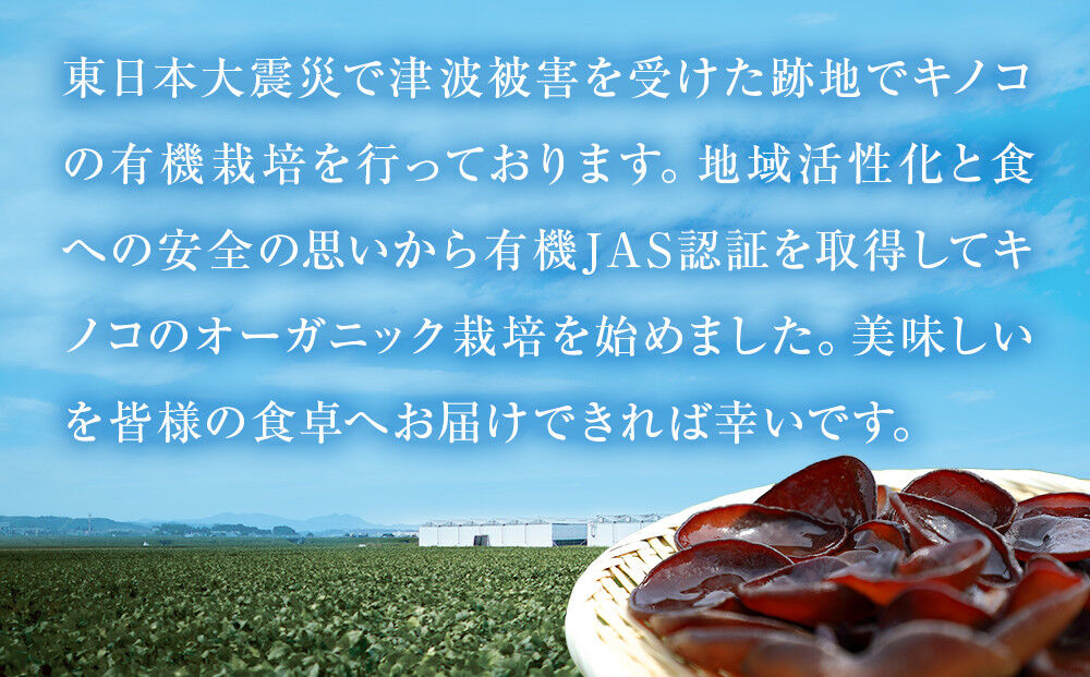 名取市産 きくらげ の 乾燥きく蔵 （黒） 14g×5袋セット 乾燥きくらげ [有機乾燥きくらげ]