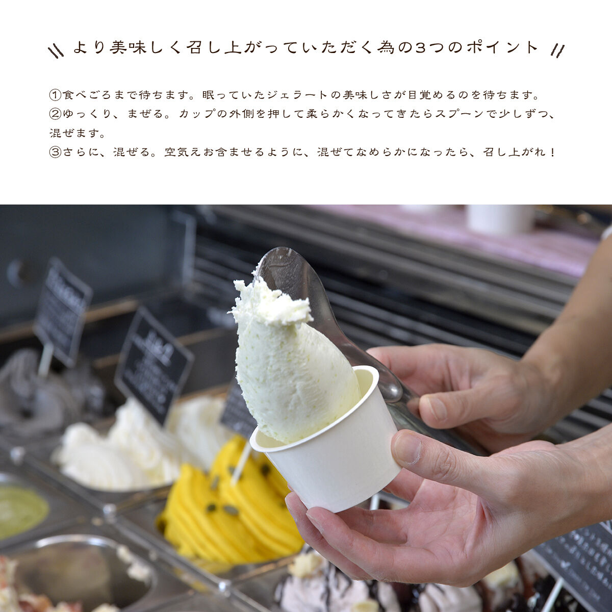 ナチュリノ自慢の「ずんだ」ジェラート 6個パック 自然派 人気店 Gelateria Natu-Lino natulino [ジェラート アイスクリーム スイーツ カップ]