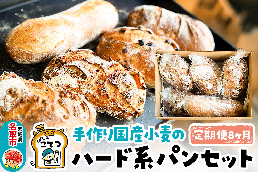 【定期便8ヶ月】名取 閖上 の ぱんやこてつ 手作り 国産小麦のハード系パンセット