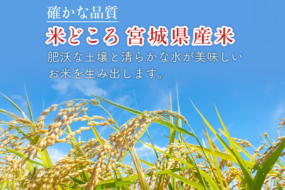 お米 【2026年10月以降順次発送 先行受付】 ≪令和8年産 新米受付≫ 甘み抜群！もっちり食感！ ゆうだい21 10kg×1袋 【白米】 [ラ・ファータ ゆうだい21 ブランド米 お米 白米 精米 米どころ 宮城]