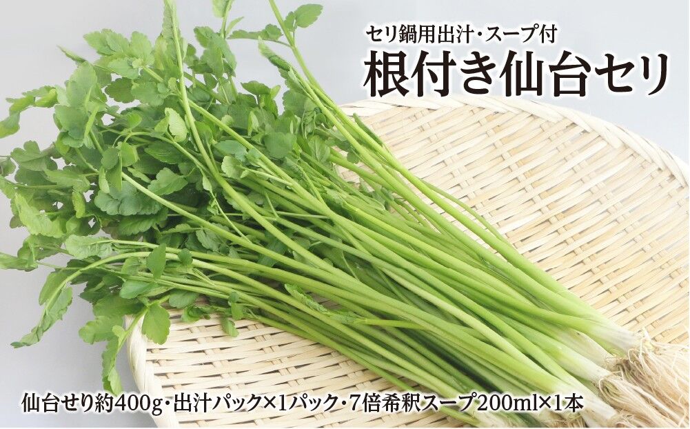 【期間限定】根付き仙台セリ鍋出汁セット（セリ鍋用出汁・スープ付）（400g）3〜4人前 [せり鍋 仙台名物 冬 ごちそう 惣菜 セリ]