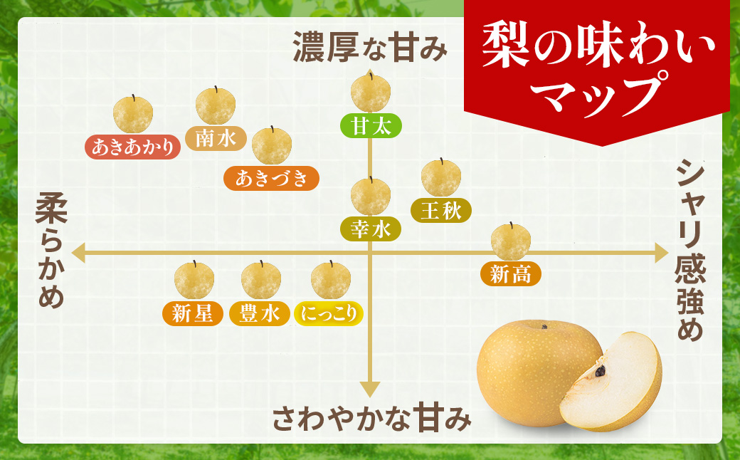 【2026年分先行予約】 梨 新高　約５kg（7～10玉）10月中旬～順次発送【吉川果樹園】 ｜ 梨