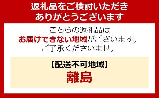 耐熱ガラスボウル 4点セット ホワイト TGB-4S