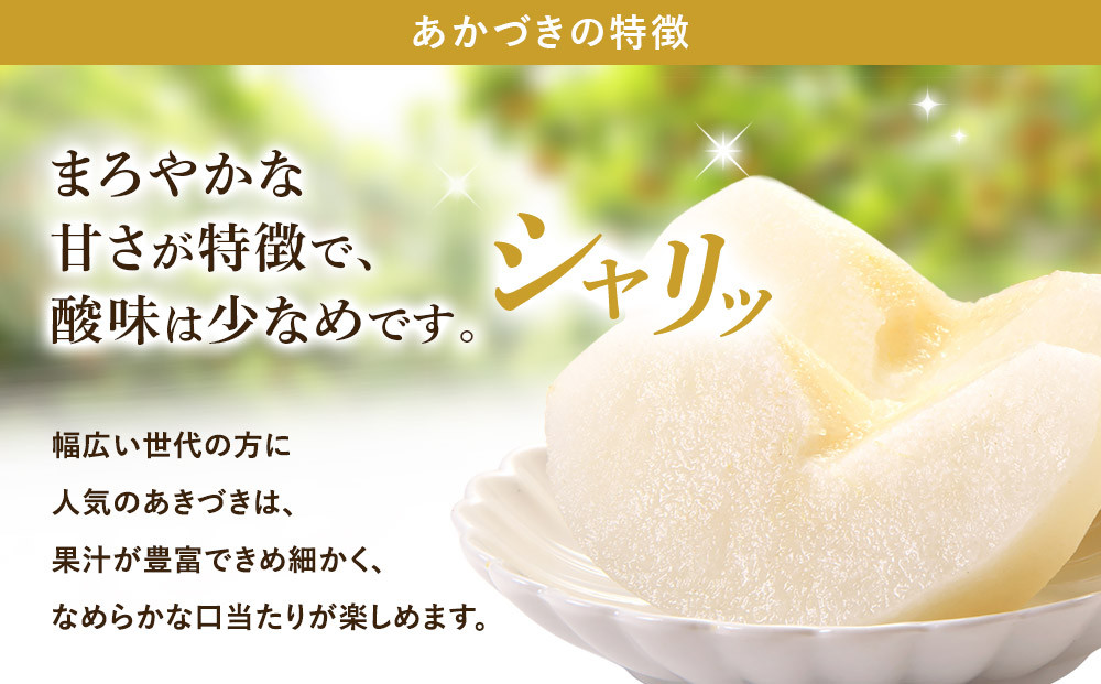 【2026年先行予約】金城果樹園　梨「あきづき」約5kg（8～14玉入）2026年9月中旬～順次発送