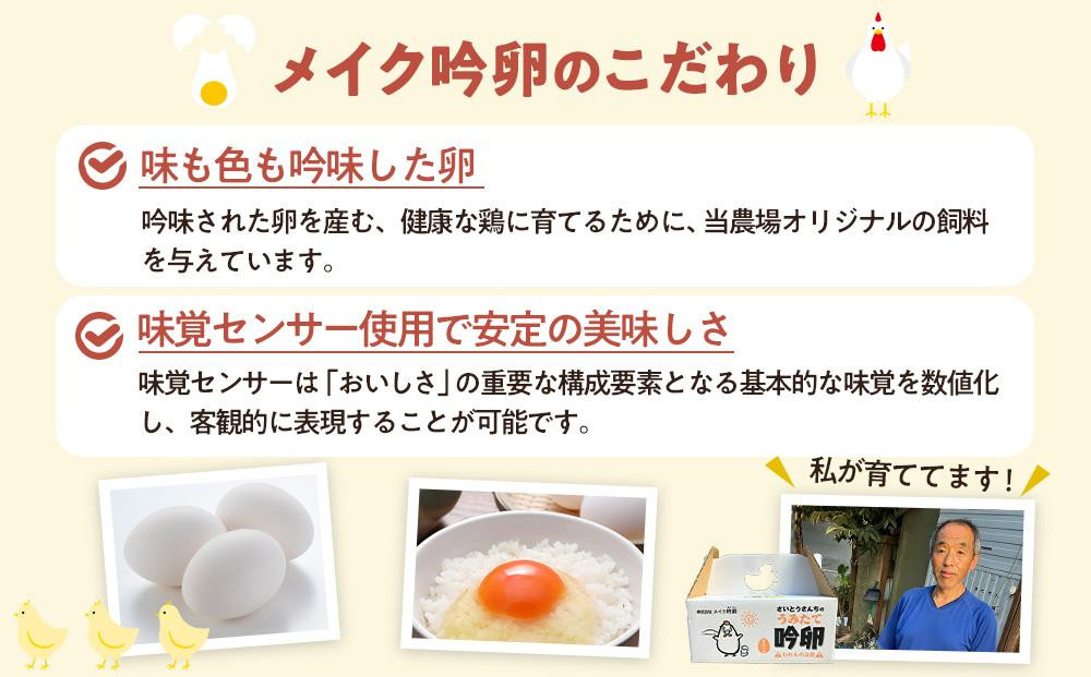 【3回定期便】さいとうさんちのうみたて吟卵　60個入り