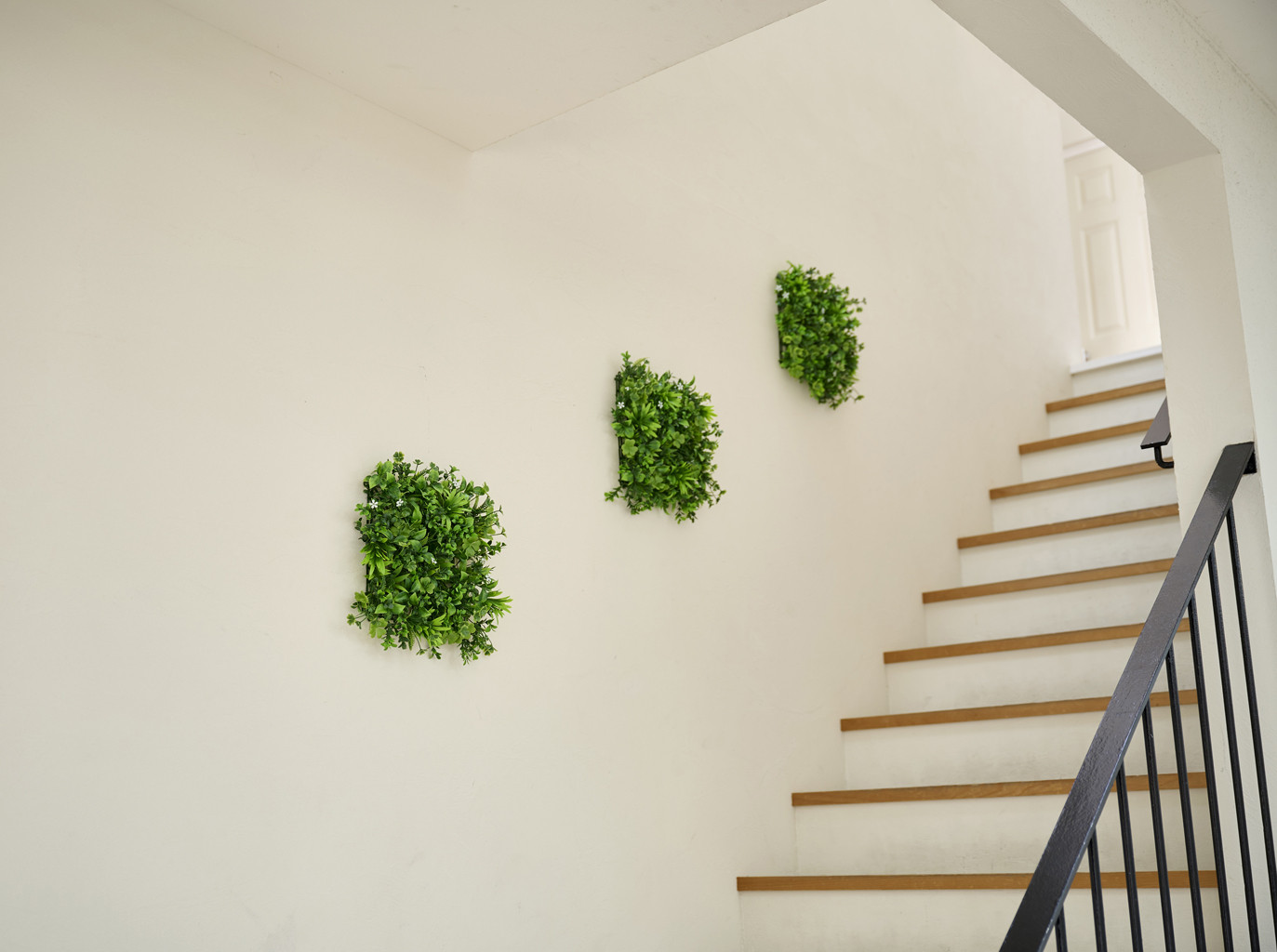 シ、シ・シ」シッ シァシイシ・シ・ショ 繧ヲ繧ゥ繝シ繝ォ繝代ロ繝ォ WG-50M 繝翫メ繝・繝ゥ繝ォ繝溘ャ繧ッ繧ケ 3蛟九そ繝繝