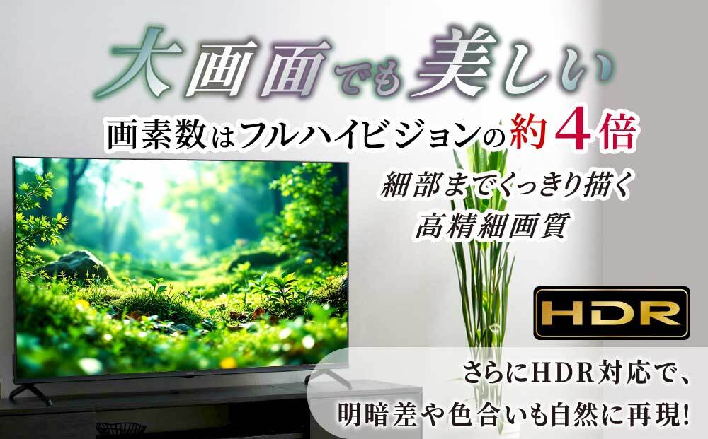 55V型 4Kスマート液晶テレビ LT-55UGX-F1　ブラック 新生活 一人暮らし ひとり暮らし 就職祝い 進学祝い 合格祝い 