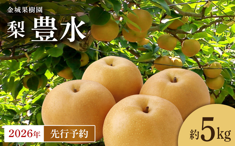 【2026年先行予約】金城果樹園　梨「豊水」約5kg（8～14玉入）2026年9月初旬～順次発送