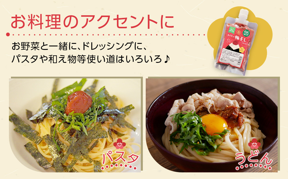 角田市 岸浪園 梅干し ペースト 練梅 6パック 限定200個