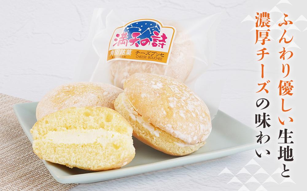 チーズブッセ 満天の詩　15個入り【ささもり 菓子 おかし ブッセ  食品  贈り物 宮城県 名物 銘菓  ふるさとの味 人気 おすすめ 送料無料】