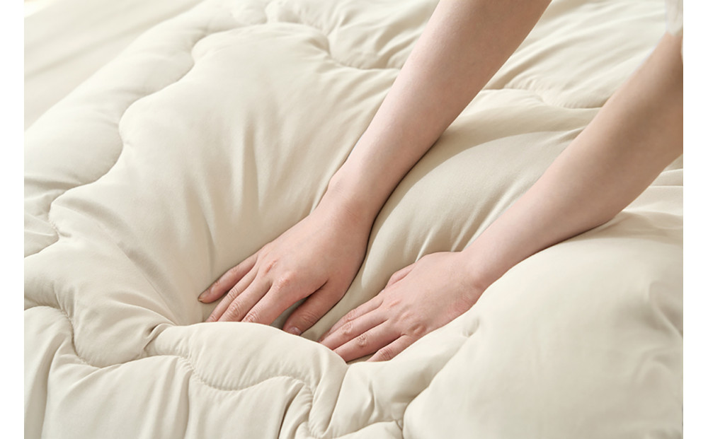 ãããçšåžå£ïŒç¹ã»ãã  ã»ãããã« KFS-B3SD ã°ã¬ãŒãžã¥