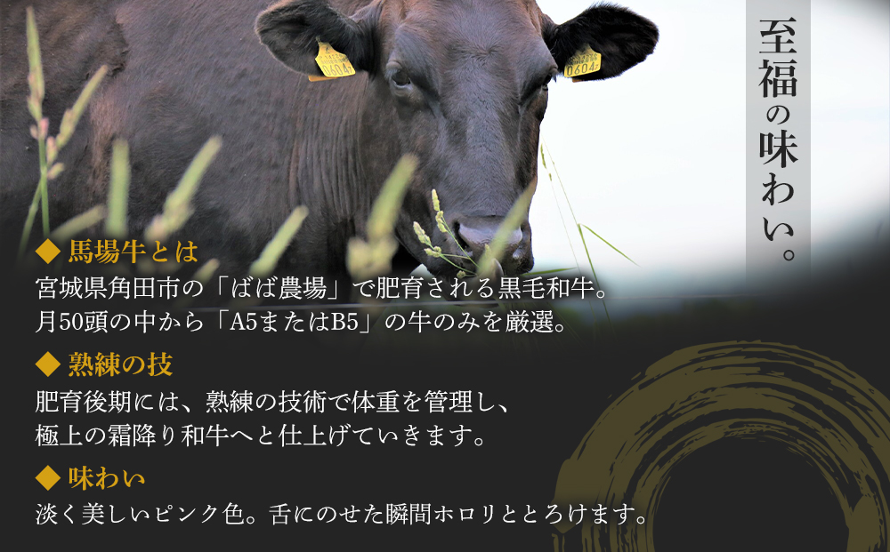 【馬場牛】宮城県産黒毛和牛100％ プレミアムハンバーグ 16個セット 牛肉100%