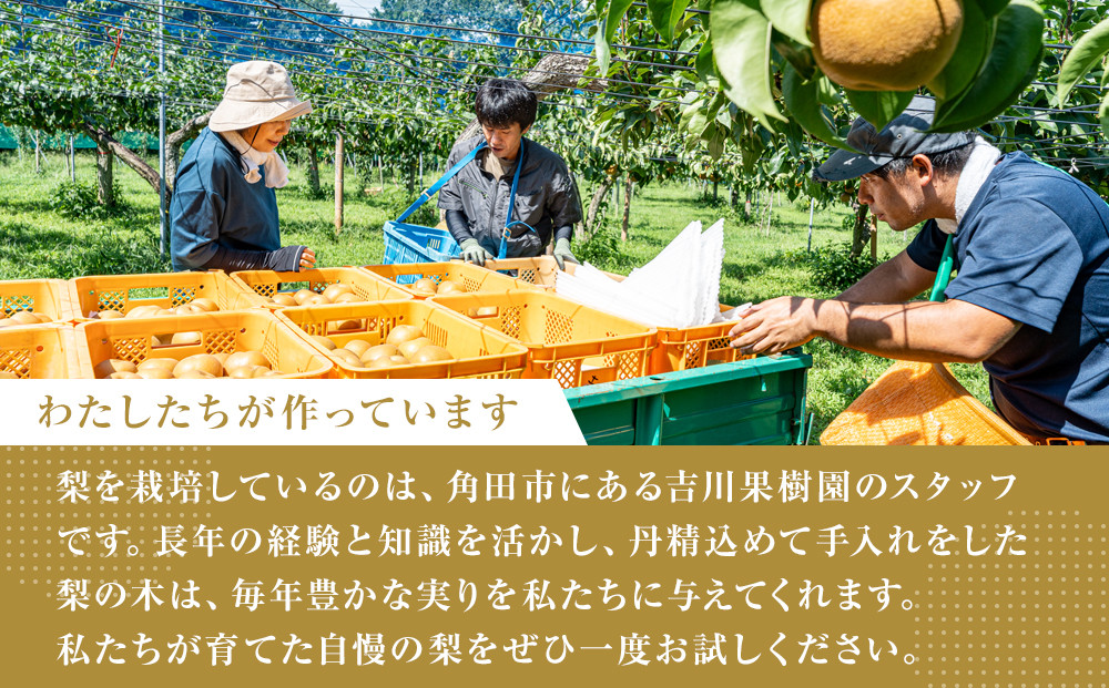 ã2026幎çºéå å
è¡äºçŽããæ¢šã®å®æäŸ¿ïŒå
š2åçºéã忢š2ã«æé£ç¶ãå±ã 5kgïŒåçš®ããŸããïŒ