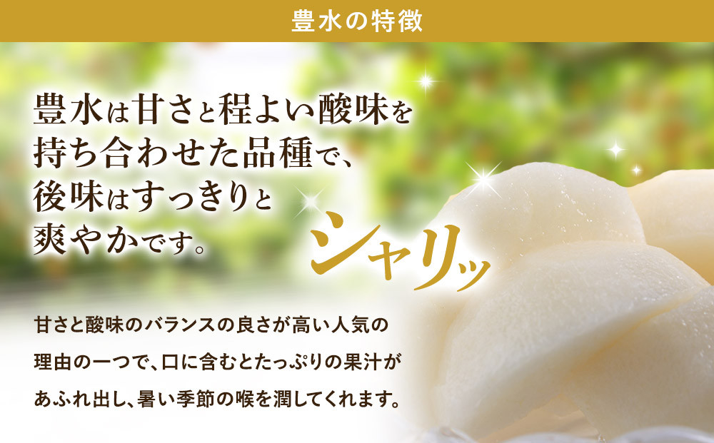 【2026年先行予約】金城果樹園　梨「豊水」約5kg（8～14玉入）2026年9月初旬～順次発送
