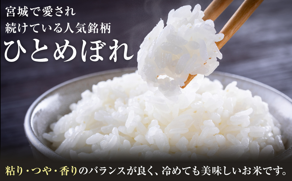 【6回定期便】宮城県産ひとめぼれ【無洗米】　5kg×1袋