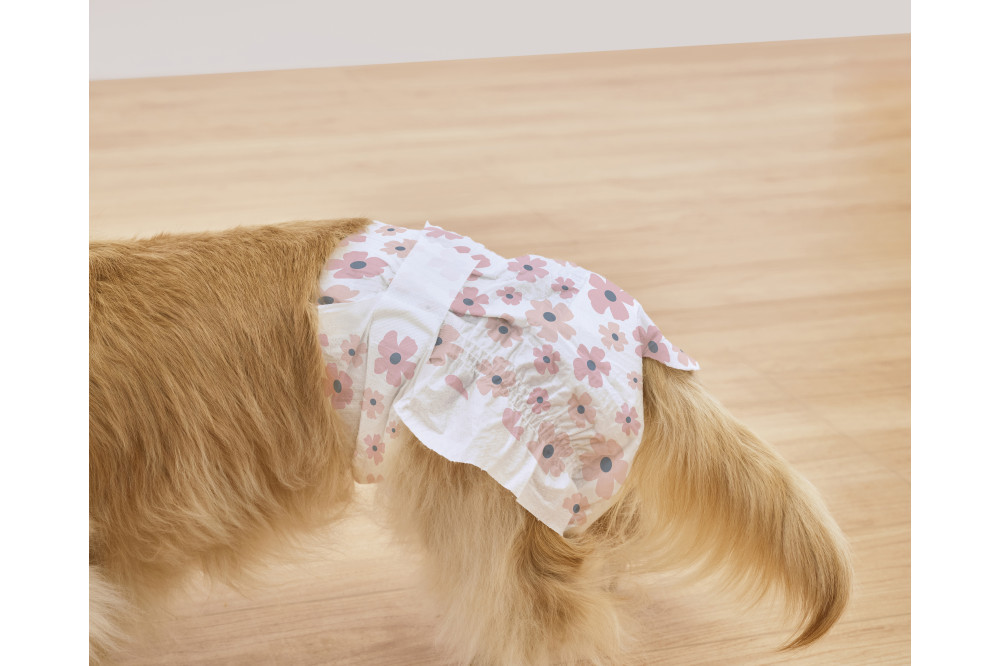 【38枚入り×6袋】ペット用おむつ　ピタフィット　ＸＳ　３８枚入　女の子用　NPD-XS38