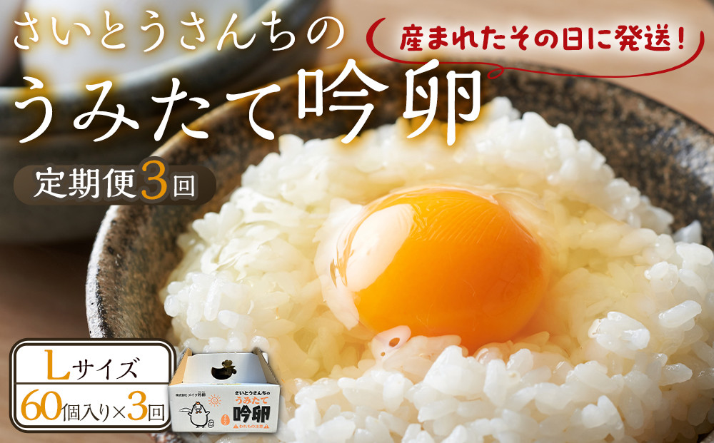 【3回定期便】さいとうさんちのうみたて吟卵　60個入り