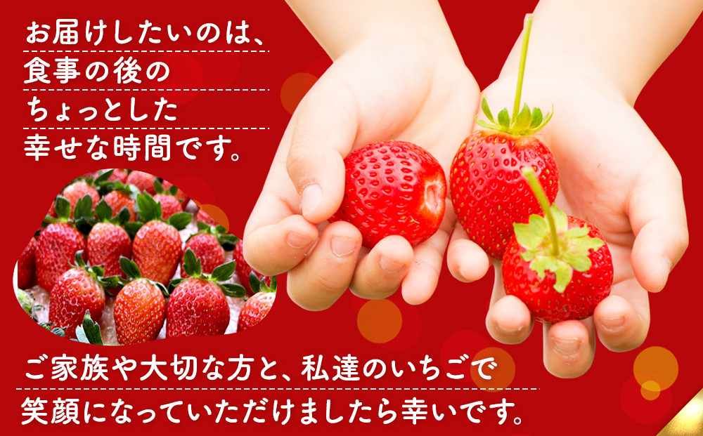 OneBerry いちご農園 品種おまかせ 旬のいちご 250ｇ× 4パック【2026年1月5日以降順次発送】 ｜ いちご イチゴ 苺 宮城県 限定 産地直送 産直 農家直送