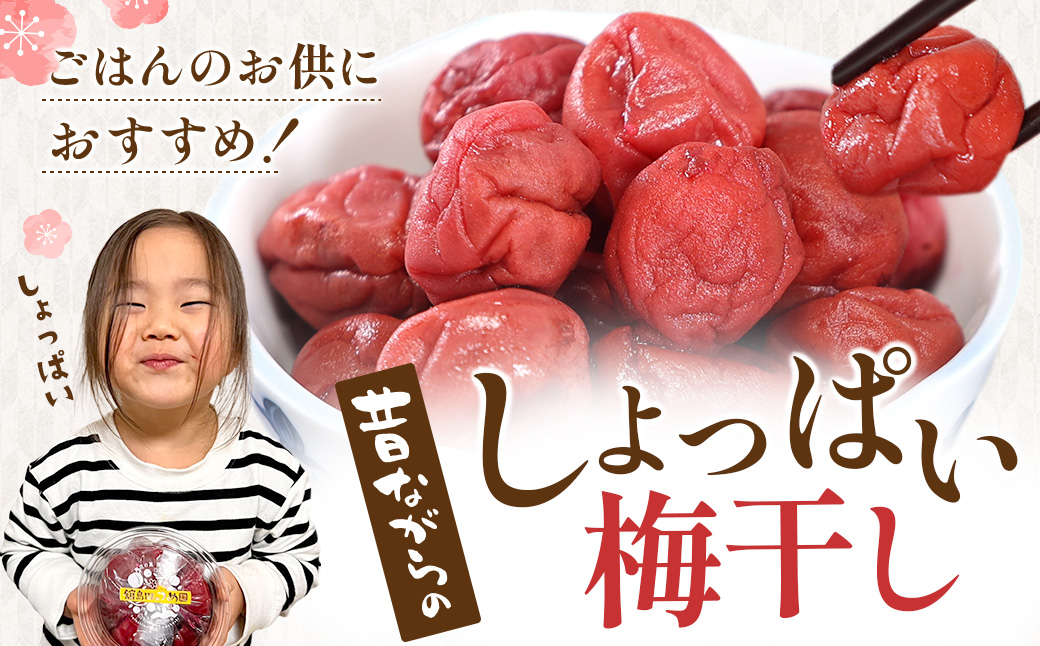 【ふるさと納税】宮城県角田産【無添加】まごころ手作り練り梅(160g)×3個