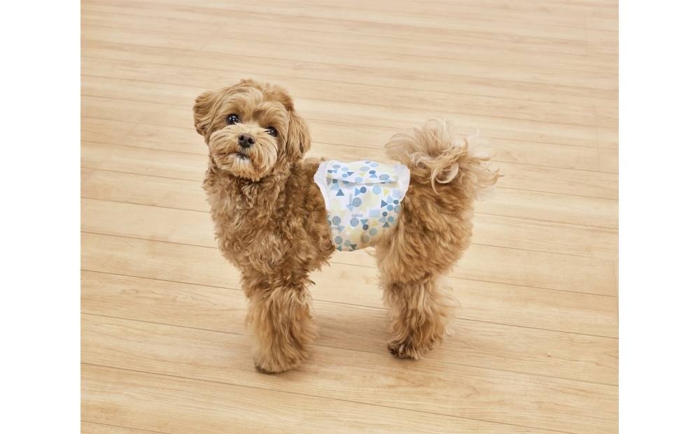 ã4æå
¥Ã6åããããçšãã〠ãã¿ãã£ãã  ç·ã®åçš MNPD-XS4