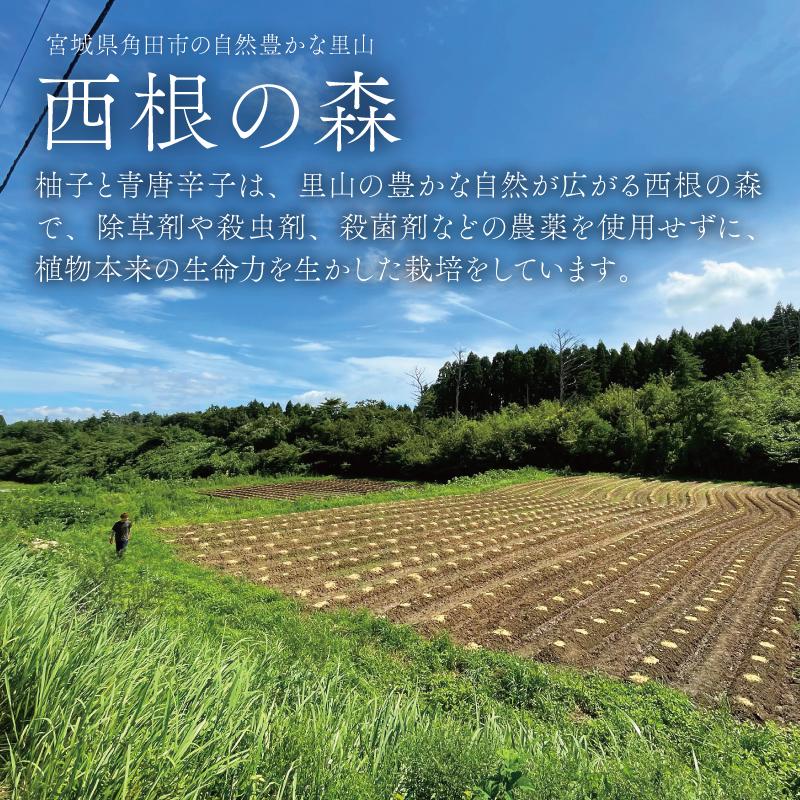 【そば屋のゆず胡椒】80g×4瓶 そば屋でリピーターが続出する秘伝の柚子胡椒（無添加・宮城県産）