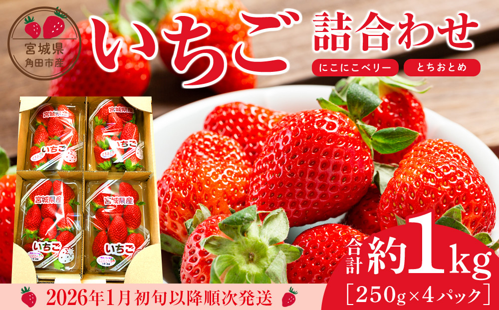 【先行予約】【JAみやぎ仙南】宮城県角田市産いちご　にこにこベリー・とちおとめ詰合せ　合計約1kg（250g×4パック）