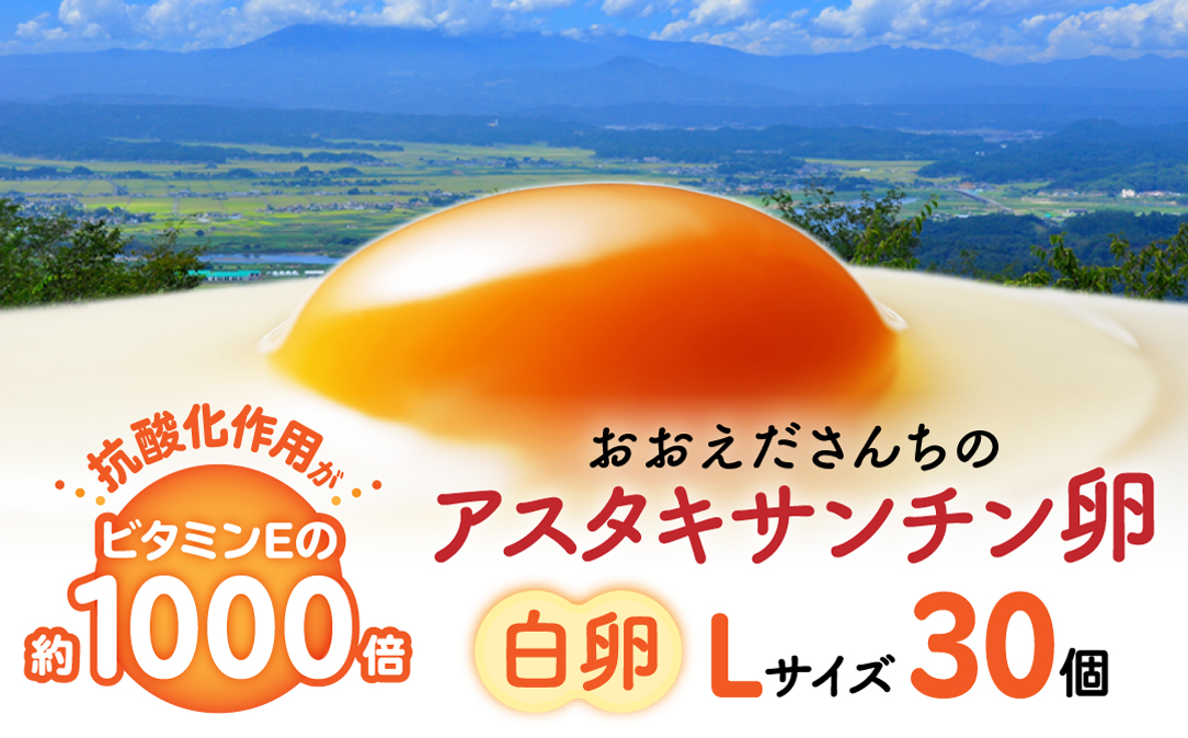 卵 生卵 おおえだファーム アスタキサンチン卵（白卵）Lサイズ 30個入り｜アスタキサンチン卵 30個 美肌 抗酸化 宮城県角田市育ち 生卵 たまご 玉子 たまごかけ TKG