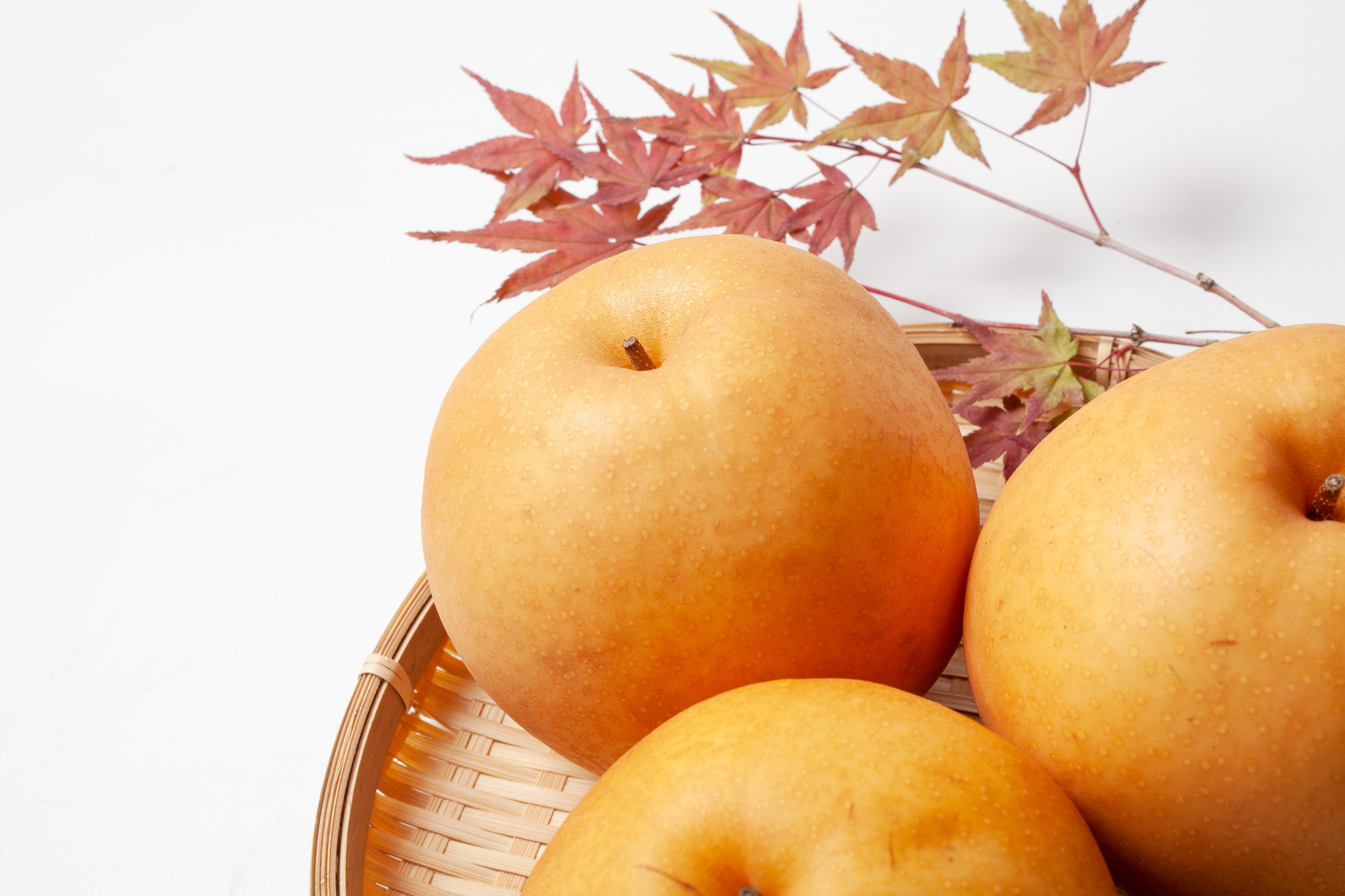 【2026年分先行予約】 梨 新高　約５kg（7～10玉）10月中旬～順次発送【吉川果樹園】 ｜ 梨