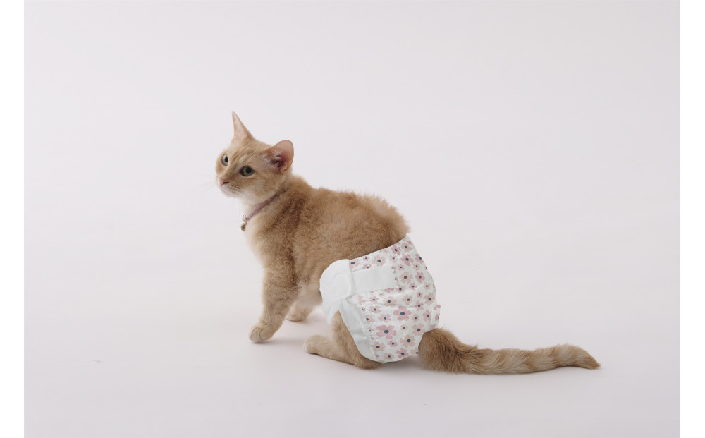 ã4æå
¥Ã6åããããçšãã〠ãã¿ãã£ãã  女ã®åçš FNPD-XXS4