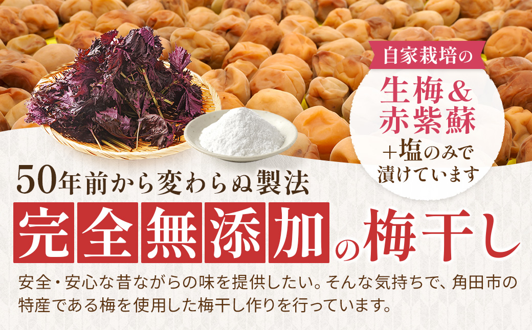 【ふるさと納税】宮城県角田産【無添加】まごころ手作り練り梅(160g)×3個