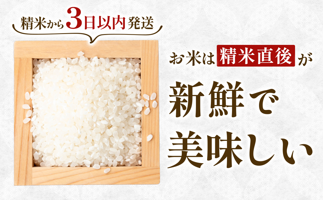 【令和7年産】宮城県産ひとめぼれ【無洗米】　5kg×1袋