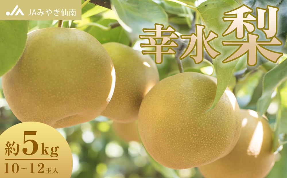 【JAみやぎ仙南】梨「幸水」約5kg (10～12玉入)