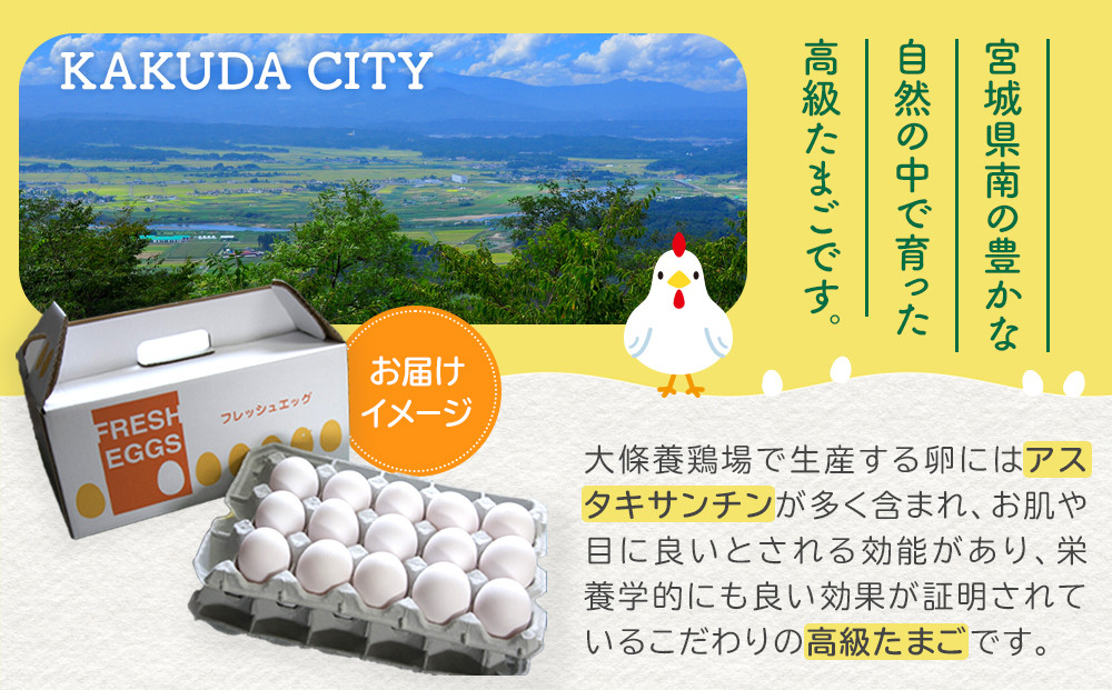 卵 生卵 おおえだファーム アスタキサンチン卵（白卵）Lサイズ 30個入り｜アスタキサンチン卵 30個 美肌 抗酸化 宮城県角田市育ち 生卵 たまご 玉子 たまごかけ TKG