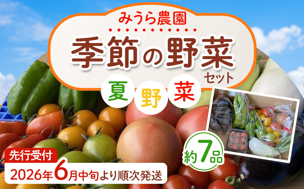 【2026年発送分先行予約】みうら農園 季節の野菜セット（夏野菜）【2026年6月中旬以降順次】