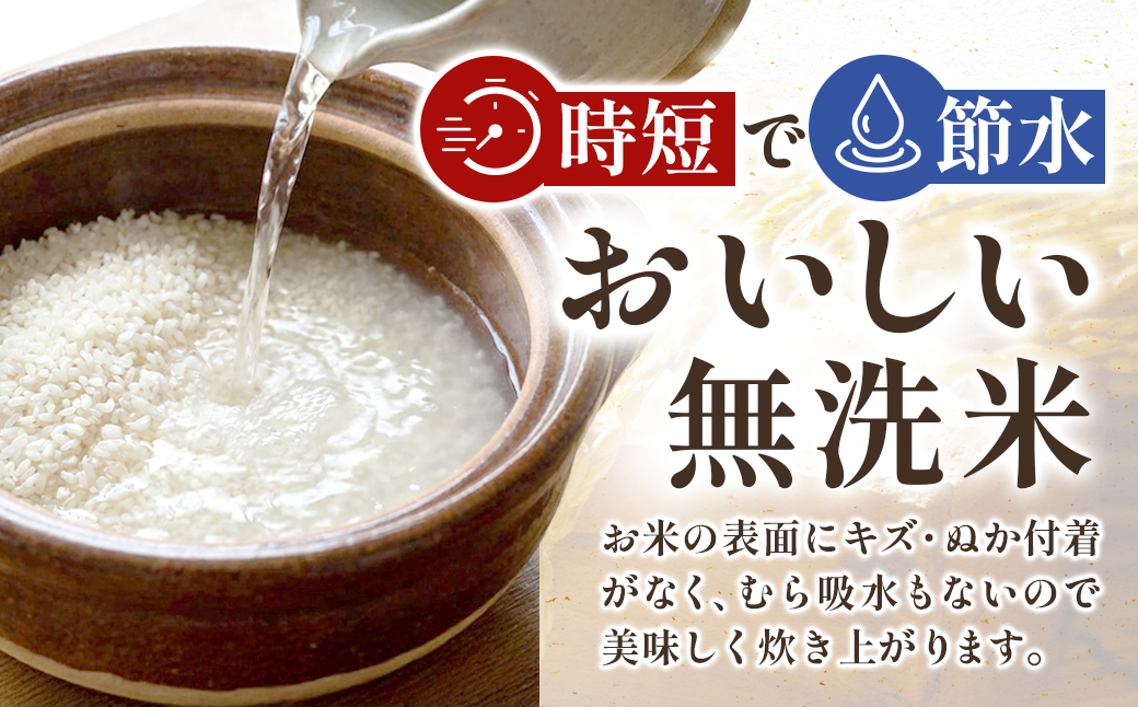 【令和7年産】宮城県産ひとめぼれ【無洗米】　5kg×1袋
