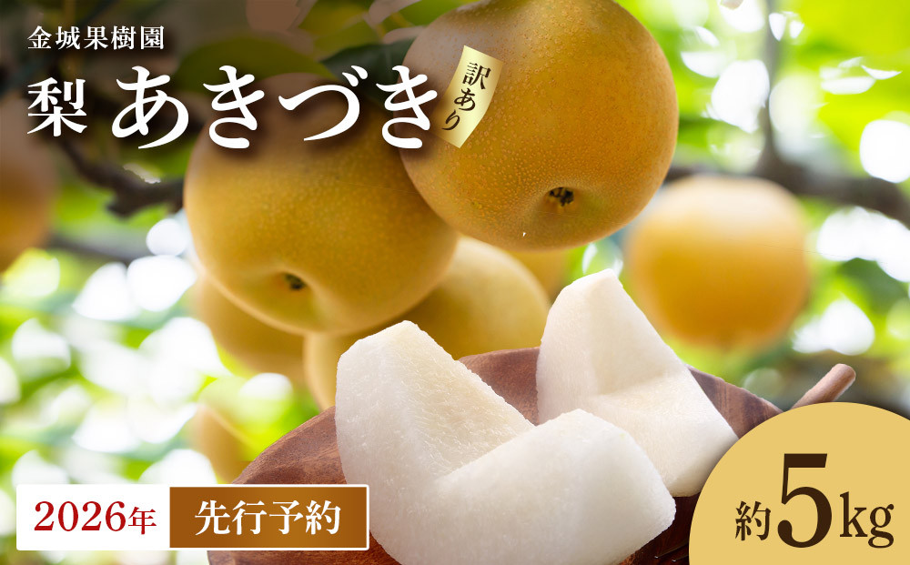 【訳あり／2026年先行予約】金城果樹園　梨「あきづき」約5kg（8～14玉入）2026年9月中旬～順次発送