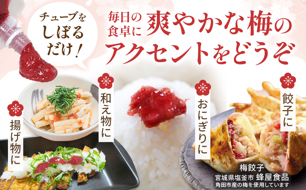 【ふるさと納税】宮城県角田産【無添加】まごころ手作り練り梅(160g)×3個