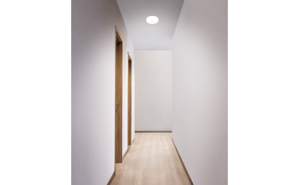 LED小型シーリングライト 人感センサー付 　昼白色 SCL6N-MS-U2