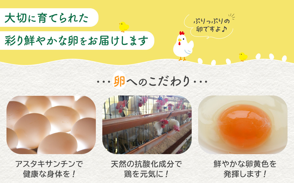 ãããã ãã¡ãŒã ã¢ã¹ã¿ããµã³ãã³åµïŒçœåµïŒLãµã€ãº 60åå
¥ã