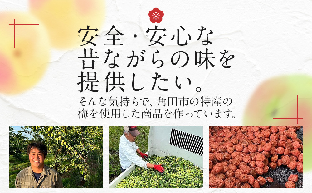 ＜訳あり＞宮城県角田産【無添加】まごころ手作り梅干し1.6kg（800g×2）｜梅干し 田舎の梅干し すっぱい 訳あり 梅干 うめぼし