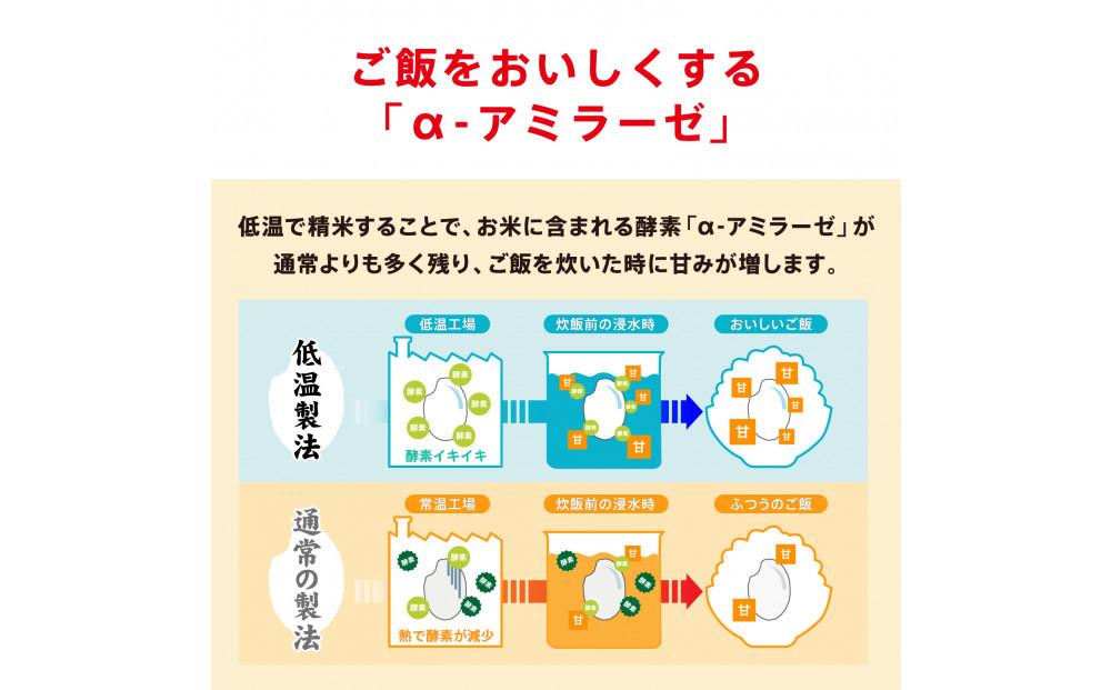 【180g×24食】 パックごはん 低温製法米のおいしいごはん アイリスオーヤマ アイリスフーズ  国産米100％ レトルト ご飯 ごはん パックごはん パックご飯 非常食 防災 備蓄 防災食 一人暮らし 仕送り レンチン
