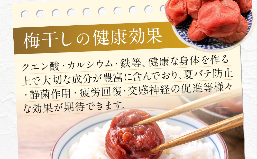 ＜訳あり＞宮城県角田産【無添加】まごころ手作り梅干し1.6kg（800g×2）｜梅干し 田舎の梅干し すっぱい 訳あり 梅干 うめぼし