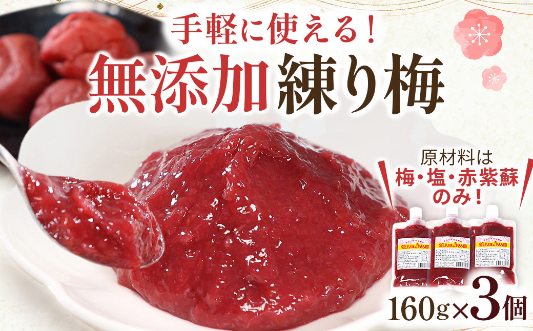 【ふるさと納税】宮城県角田産【無添加】まごころ手作り練り梅(160g)×3個
