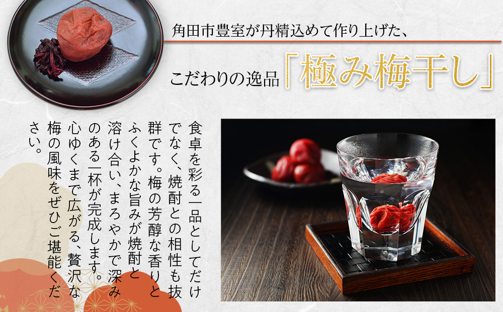 角田市 岸浪園 極み梅干し 塩分約17％ 100ｇ×12パック 限定100個