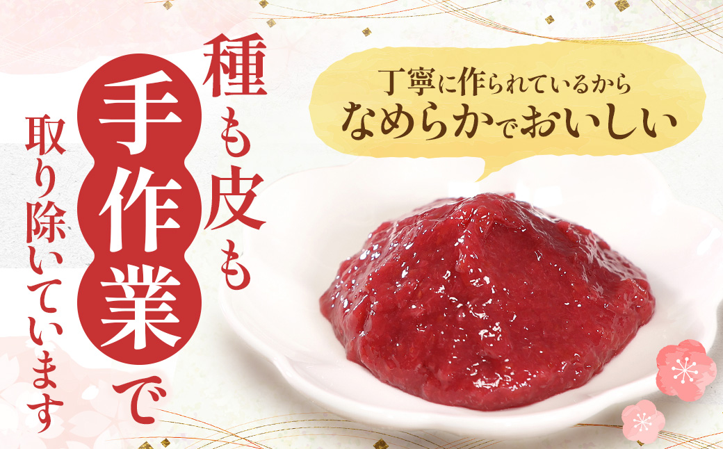 【ふるさと納税】宮城県角田産【無添加】まごころ手作り練り梅(160g)×3個